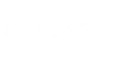 partners who work with Gamdom